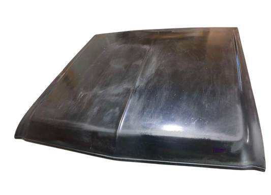 XW XY ZC ZD Fibreglass Bonnet