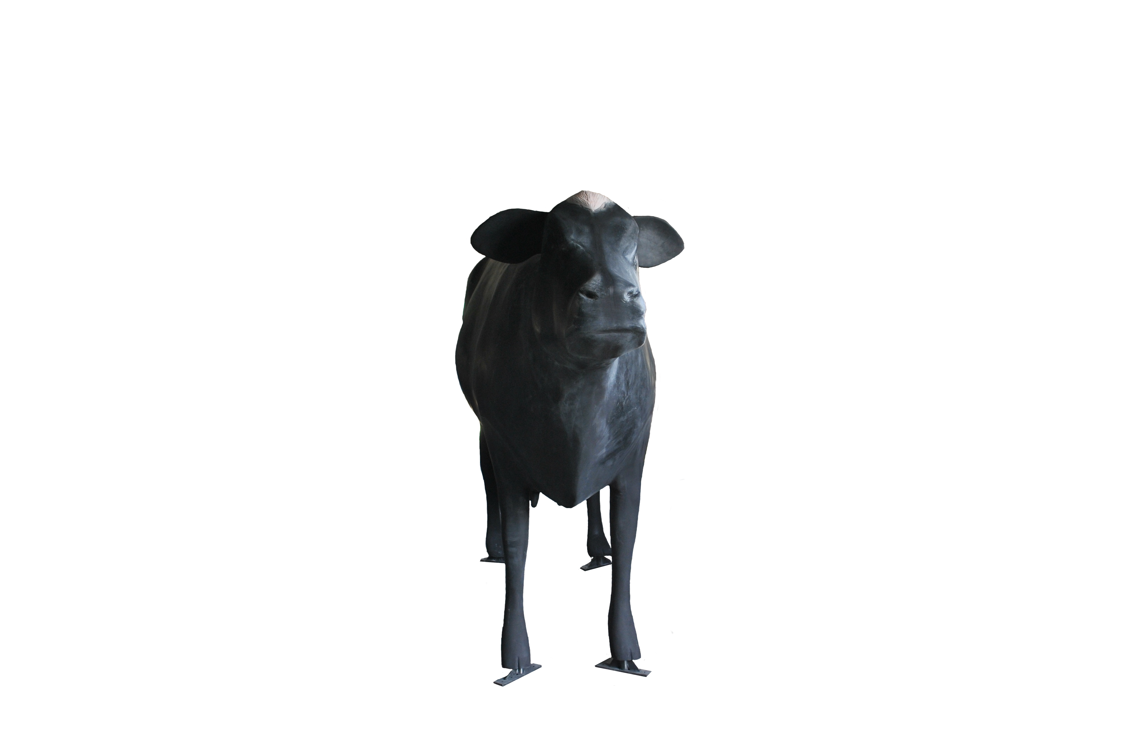 Giant Fibreglass Cow - Tourist Attraction - Business Opportunity