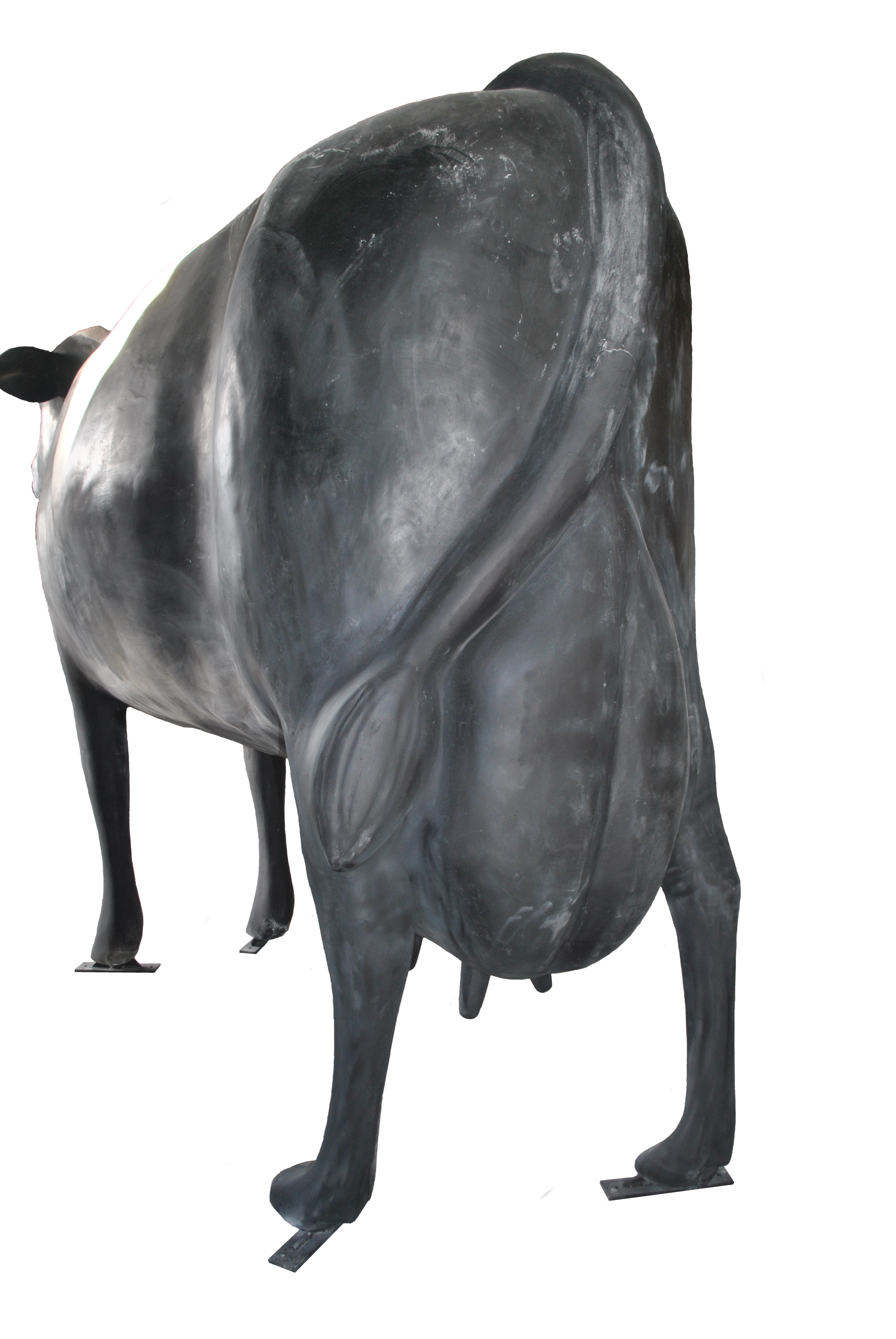 Giant Fibreglass Cow - Tourist Attraction - Business Opportunity