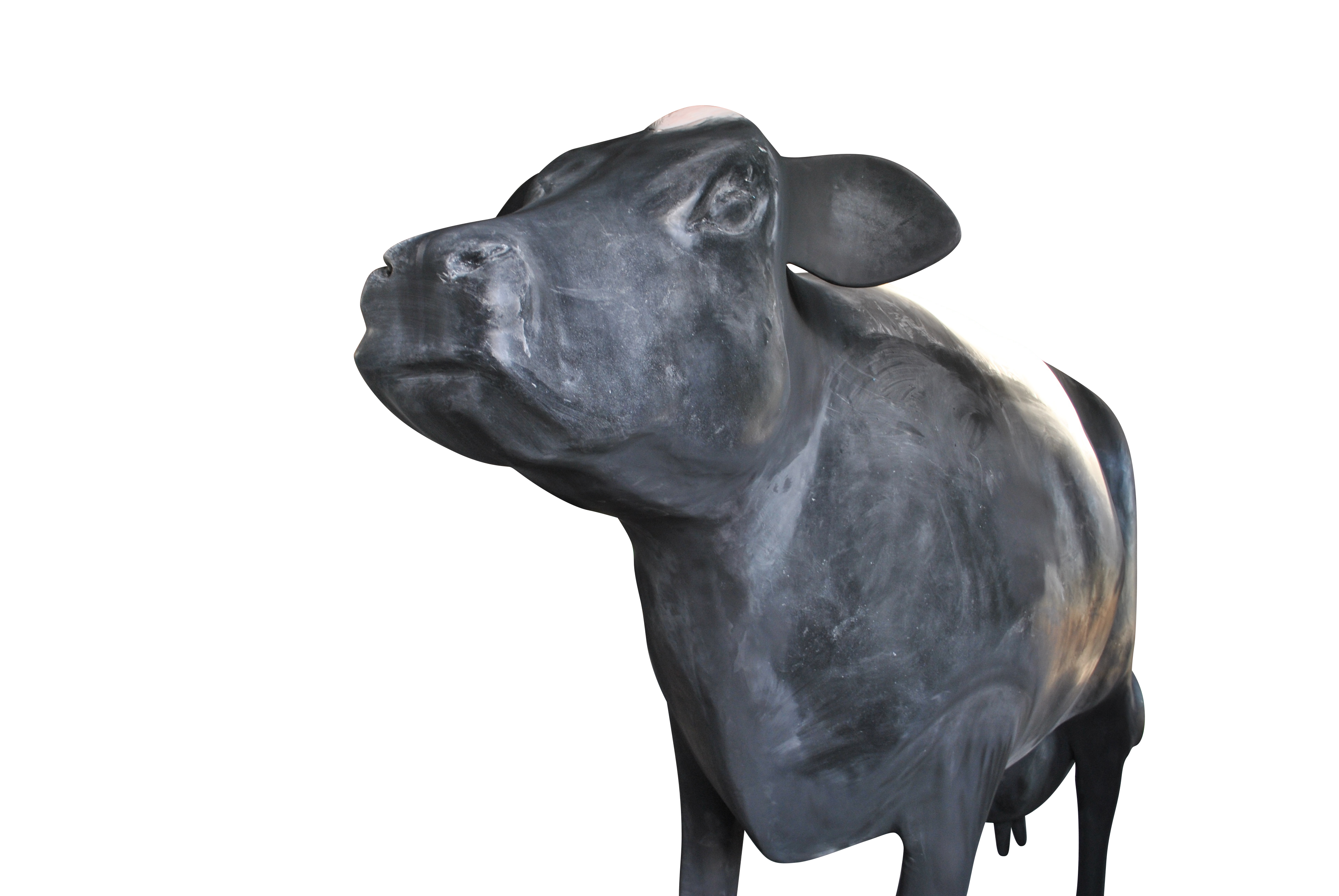 Giant Fibreglass Cow - Tourist Attraction - Business Opportunity