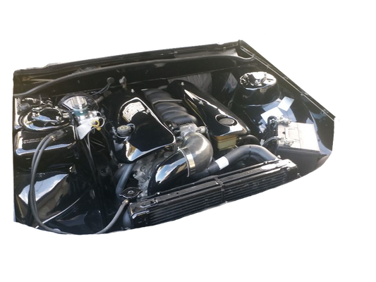LS1 Engine Covers Blank No Logo
