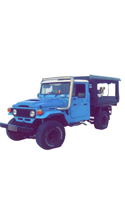 FJ40 FJ45 FJ47 HJ45 HJ47 BJ40 BJ42 Bonnet with 79 Style Scoop