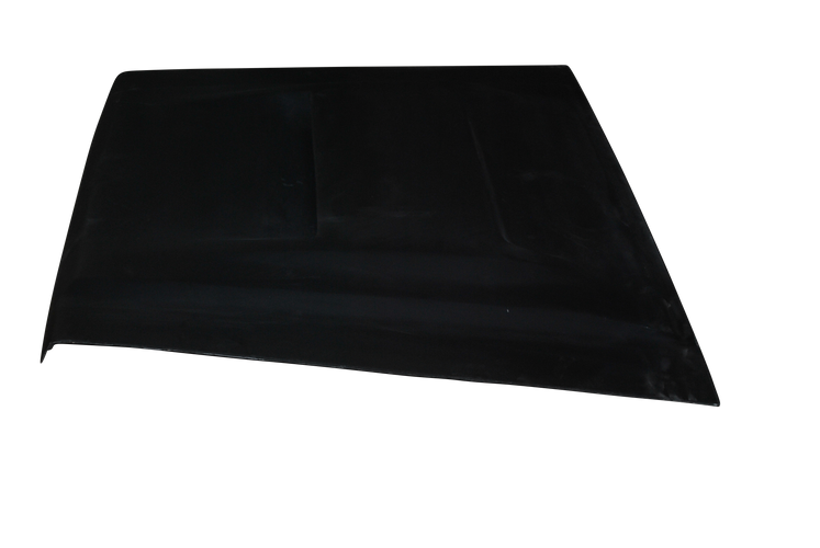 79 Series Bonnet with 79 style scoop  PRE 2016