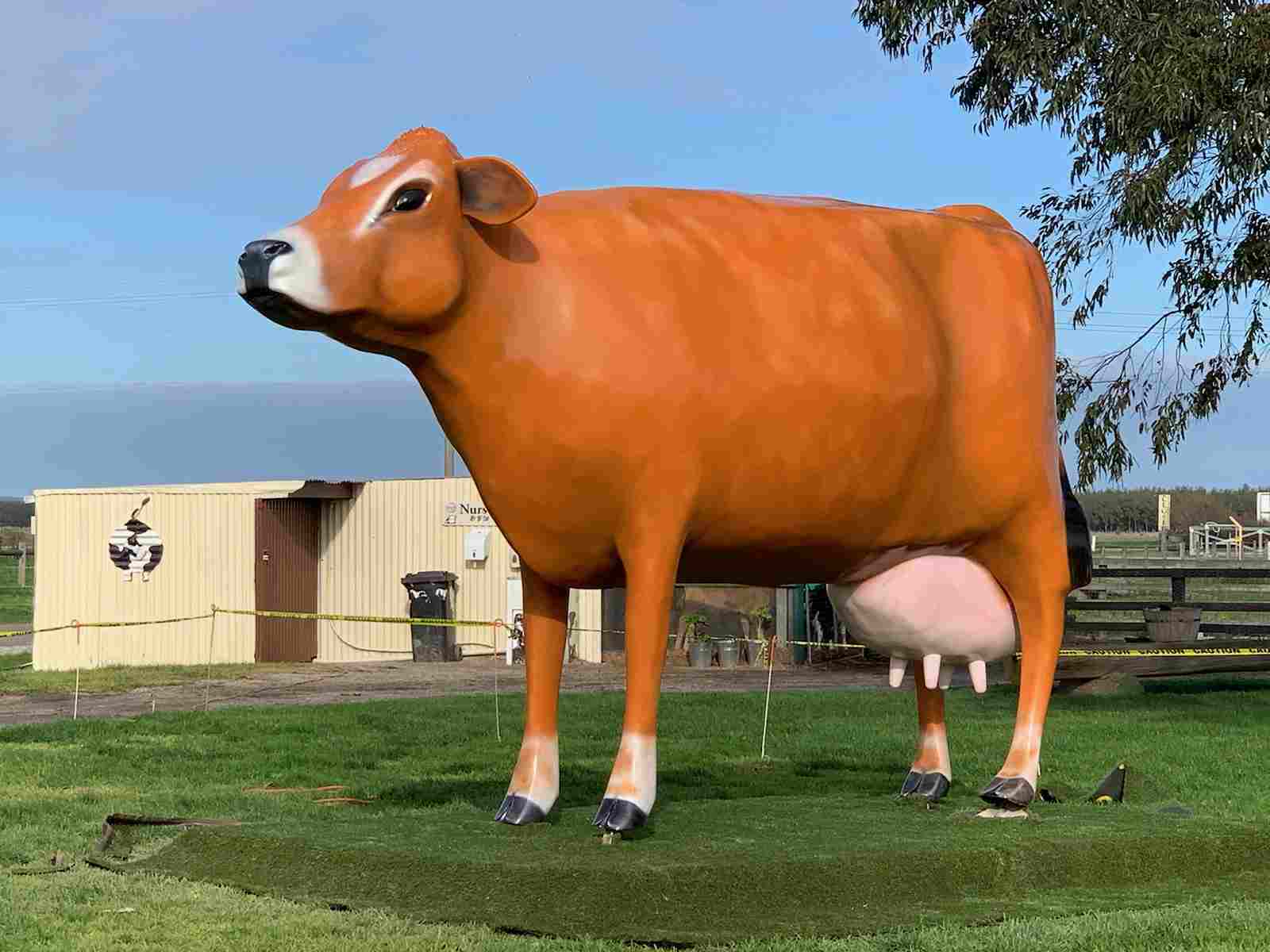 Giant Fibreglass Cow - Tourist Attraction - Business Opportunity